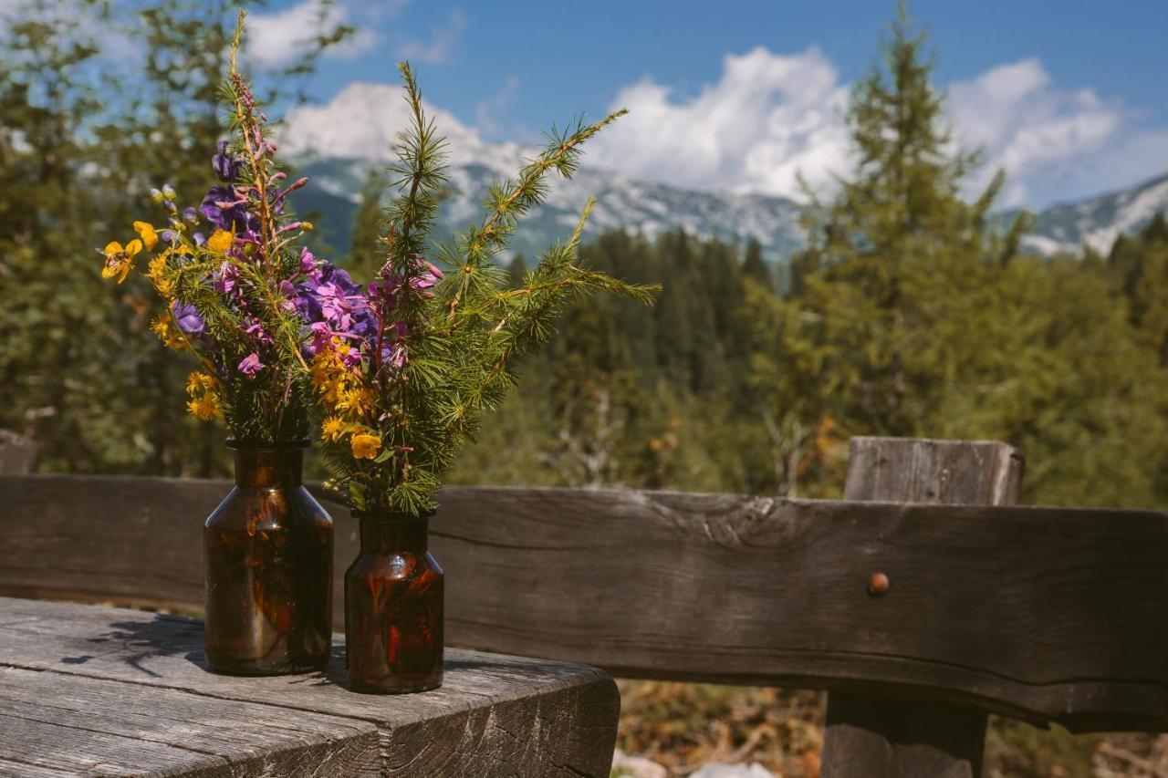 Chalet Orlica Velika Planina Stahovica ภายนอก รูปภาพ