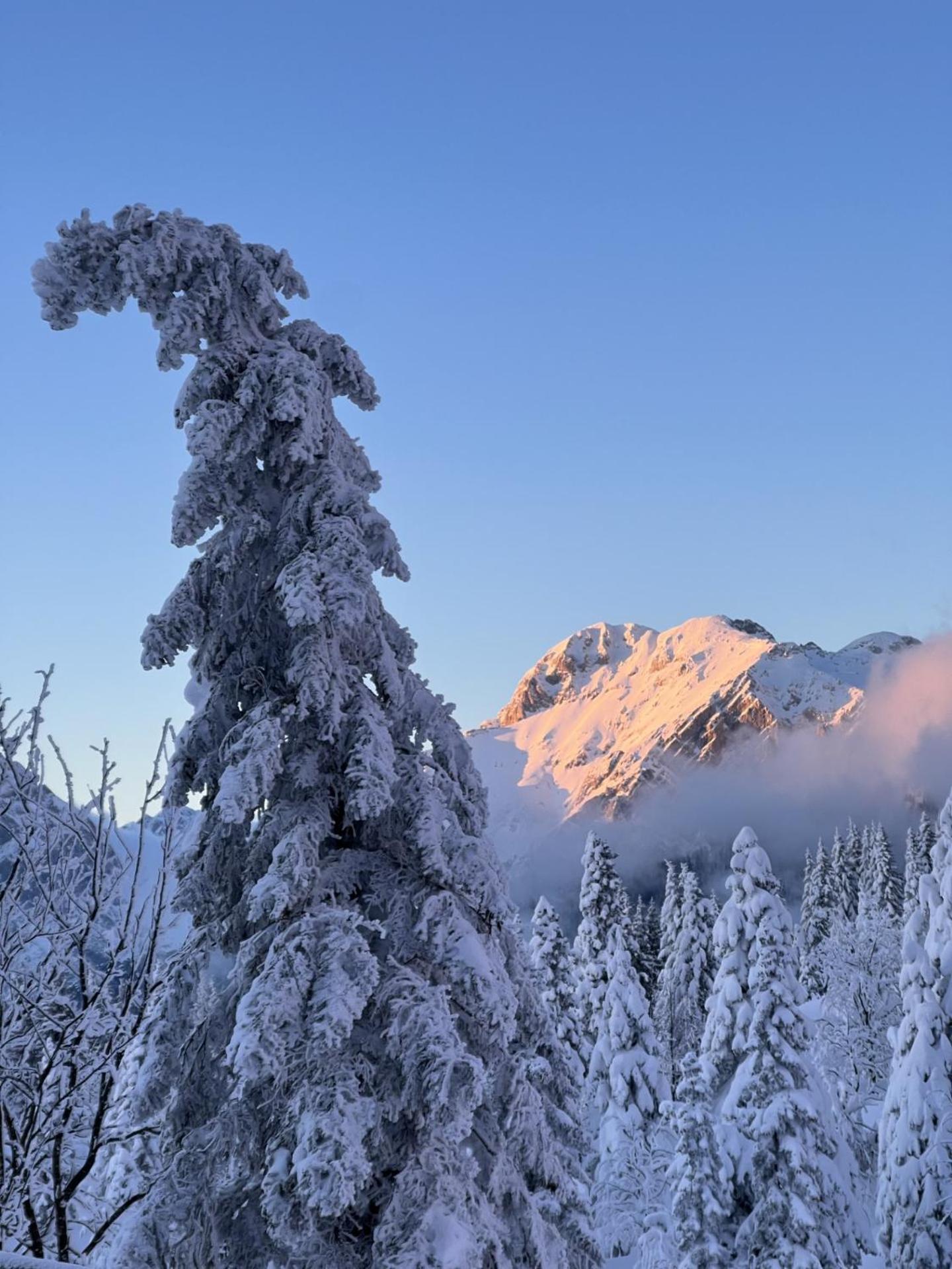 Chalet Orlica Velika Planina Stahovica ภายนอก รูปภาพ